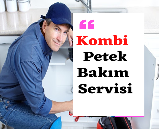 Çankaya petek temizleme