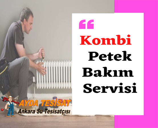 BAĞLUM PETEK TEMİZLEME