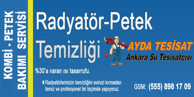 Doğalgaz petek bakımı