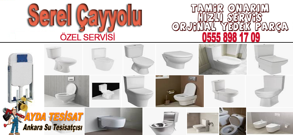 Çayyolu serel servisi