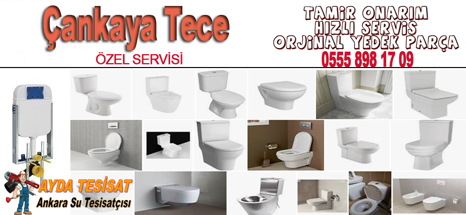 Çankaya tece servisi
