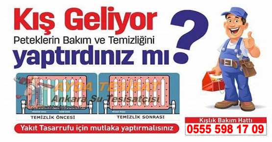 Anıttepe petek temizleme