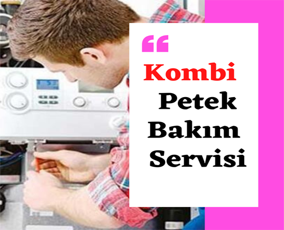 Ankara petek temizleme servisi