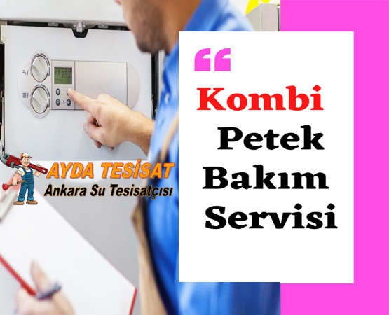 bağlıca petek temizliği