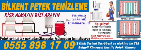 Bilkent petek temizleme servisi