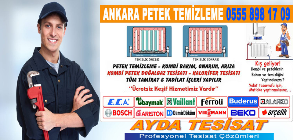Doğalgaz petek temizliği