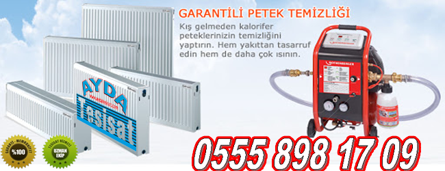 bağlıca petek temizliği