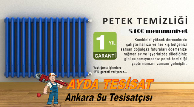 Aktepe Petek Temizleme Servisi