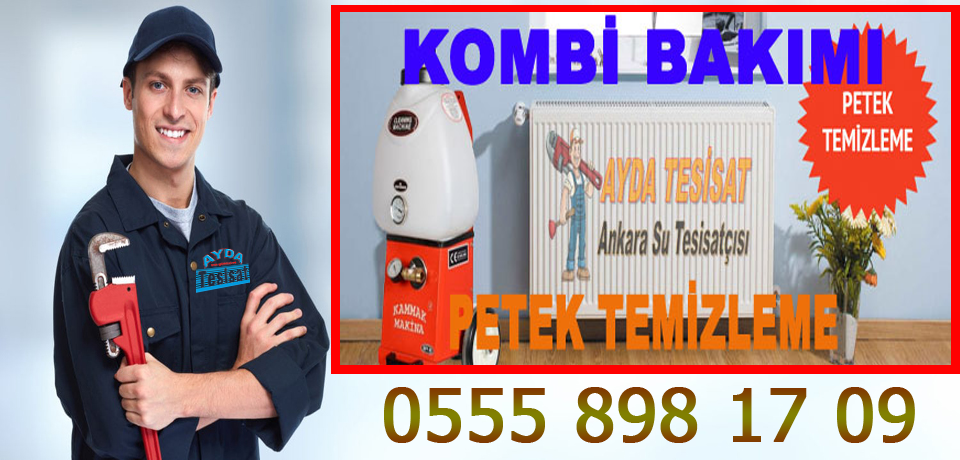 Ayrancı Petek Temizleme