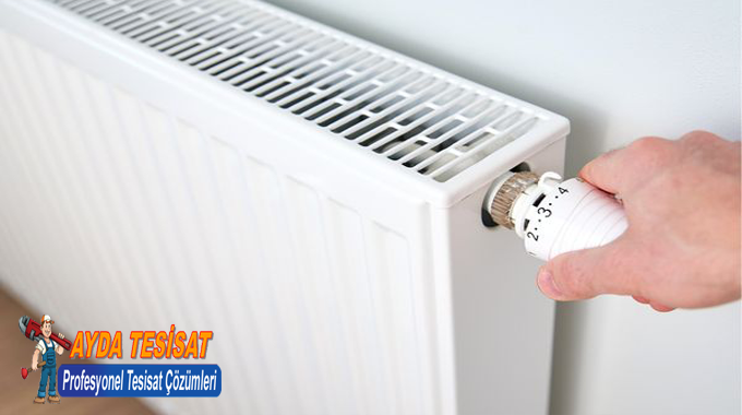 Ege Mahallesi Petek Temizliği