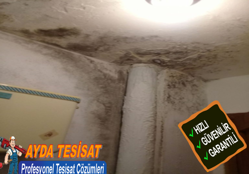 Su Sızıntısı Olduğu Nasıl Anlaşılır?