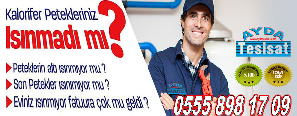 Tulumtaş Petek Temizleme