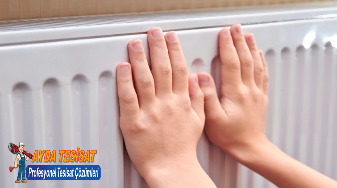 Yaşamkent Petek Temizleme Servisi