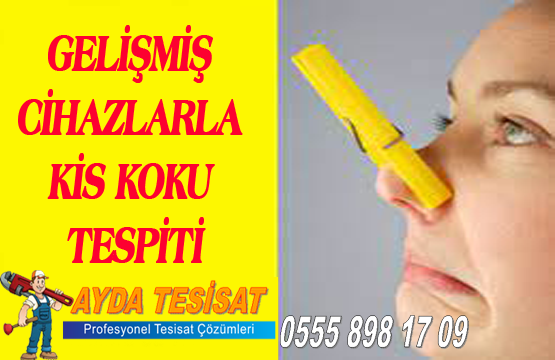Mersin Pis Koku Tespiti