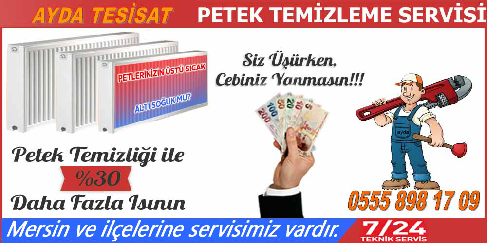 Mersin Petek Temizleme